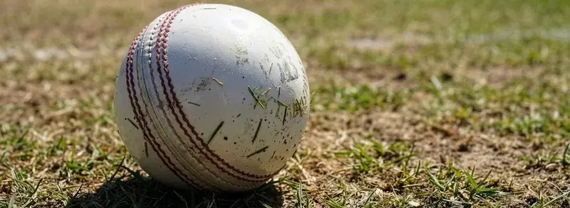 Cricket ball on a grassy pitch